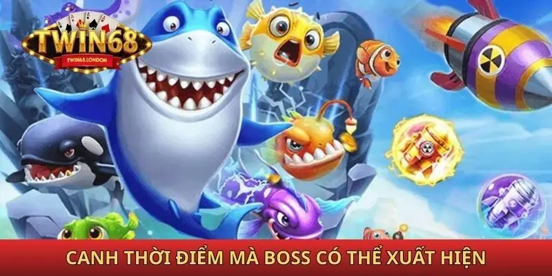 Canh thời điểm mà boss có thể xuất hiện