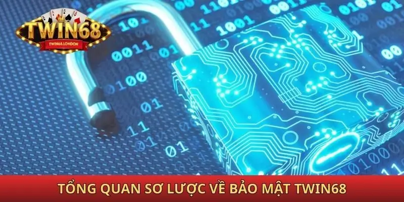 Tổng quan sơ lược về bảo mật Twin68